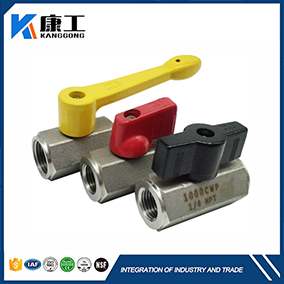 NSF Approval, 1Pc Stainless Steel Hex Body Mini Ball Valve