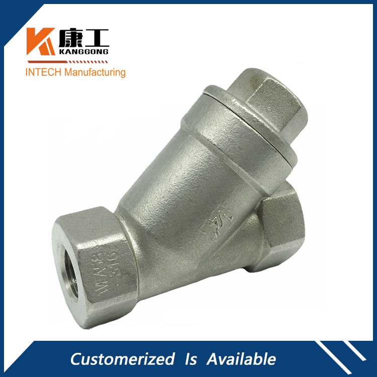 Stainless Steel Y-Spring Check Valve