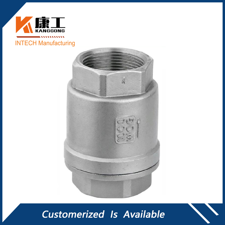 2PC Stainless Steel Spring Check Valve