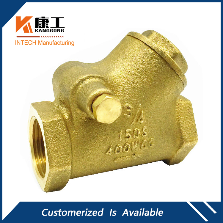 Brass Y-Pattern Check Valve