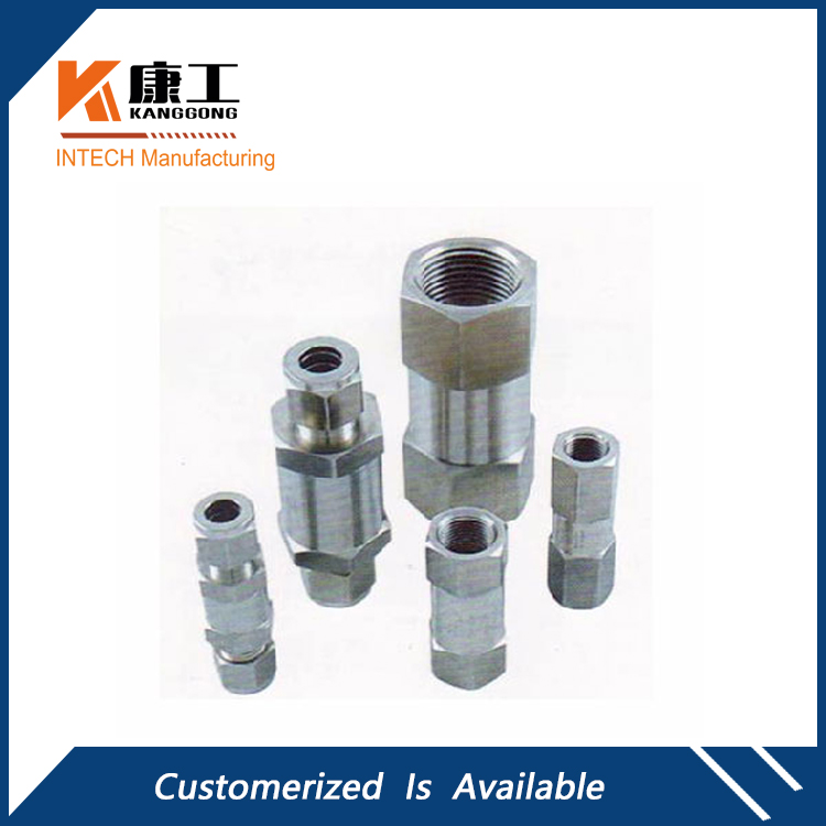 Mini In Line Check Valve