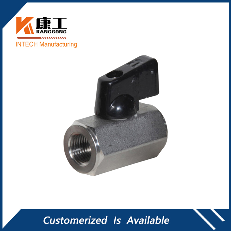 316 Stainless Steel Hex Body Mini Ball Valve