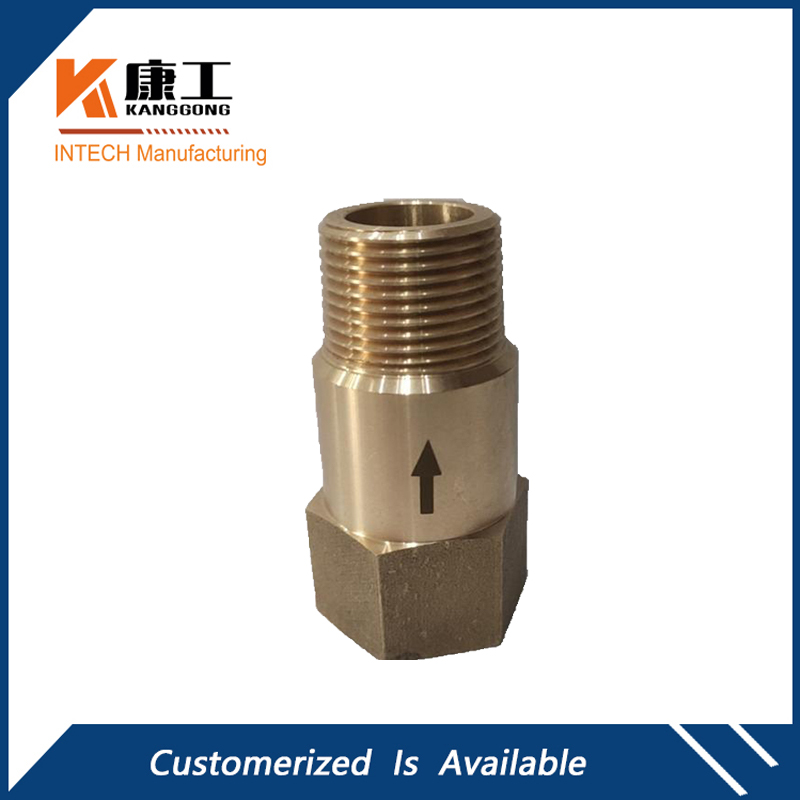 Bronze Check Valve