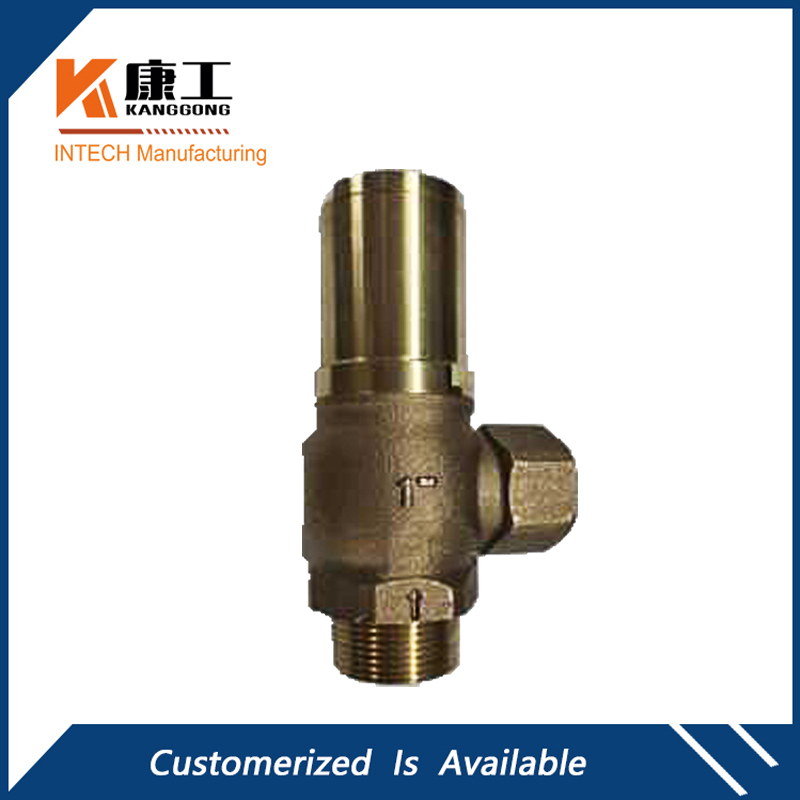 Bronze Check Valve