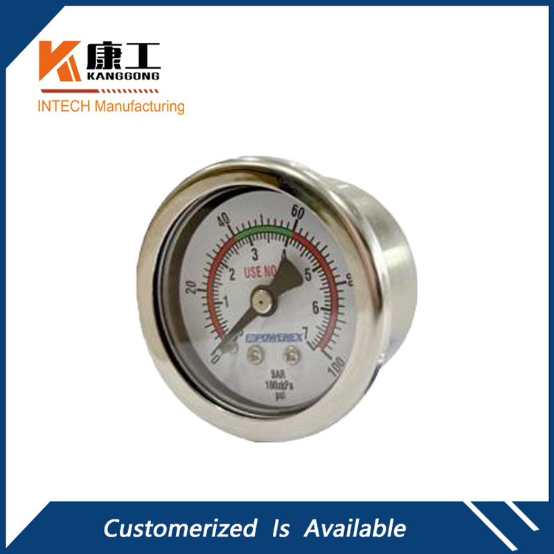 Dry Pressure Gauge Back Mount