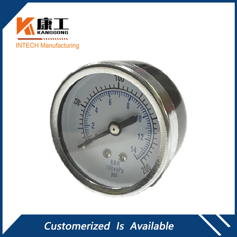 Dry Pressure Gauge Back Mount