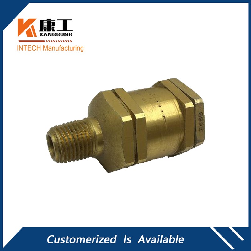 Check Valve